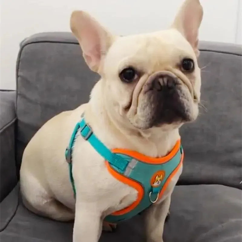 Adjustable No Pull Reflective Pet Harness Lead Walking Running Leashes Dog Cat Chest Strap Vest Leash