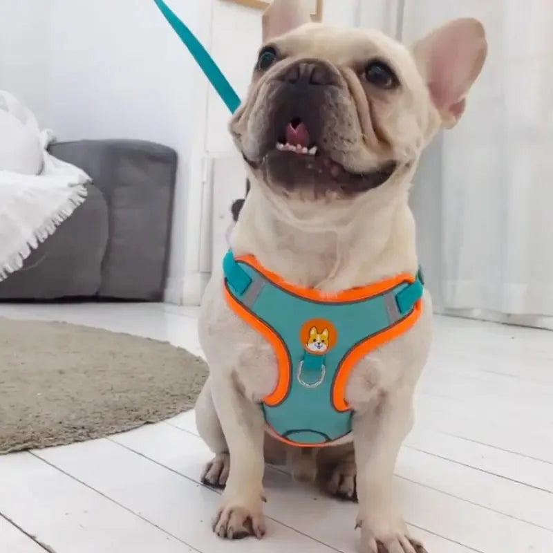 Adjustable No Pull Reflective Pet Harness Lead Walking Running Leashes Dog Cat Chest Strap Vest Leash