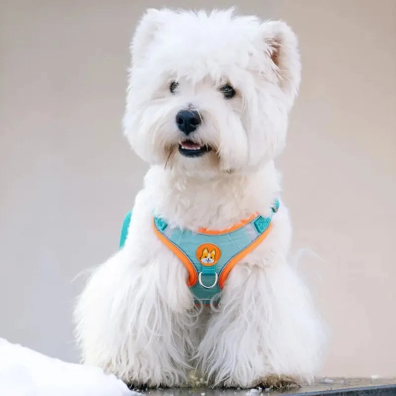 Adjustable No Pull Reflective Pet Harness Lead Walking Running Leashes Dog Cat Chest Strap Vest Leash